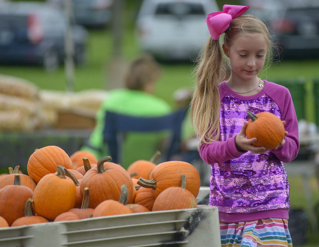 Natalie Dometrorch selects a pumpkin to paint